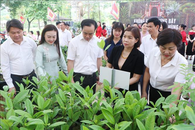 Các đại biểu tham quan không gian trưng bày, giới thiệu hoa, cây cảnh, giống cây rừng quốc gia Đền Hùng. Ảnh: Thu Hương - TTXVN