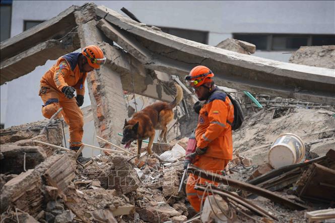 Lực lượng cứu hộ tìm kiếm nạn nhân trong đống đổ nát sau động đất tại Cali, Colombia, ngày 13/8/2026. Ảnh: THX/TTXVN phát