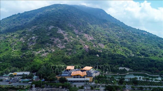 Các hoạt động du lịch tại Núi Bà Đen góp phần gia tăng sức hấp dẫn của Tây Ninh đối với du khách trong và ngoài nước. Ảnh: Giang Phương - TTXVN.