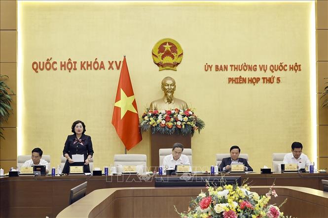 Phó Chủ tịch Quốc hội Nguyễn Thị Hồng phát biểu. Ảnh: Doãn Tấn - TTXVN