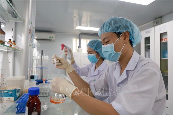 Nghiên cứu viên tại Viện Vắc xin và Sinh phẩm Y tế - Bộ Y tế (trụ sở tại tỉnh Khánh Hòa) nghiên cứu, kiểm định vaccine. Ảnh: Xuân Triệu - TTXVN