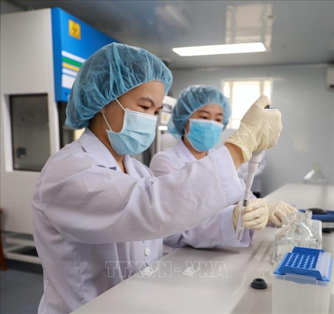 Nghiên cứu viên tại Viện Vắc xin và Sinh phẩm Y tế - Bộ Y tế (trụ sở tại tỉnh Khánh Hòa) nghiên cứu, kiểm định vaccine. Ảnh: Xuân Triệu - TTXVN