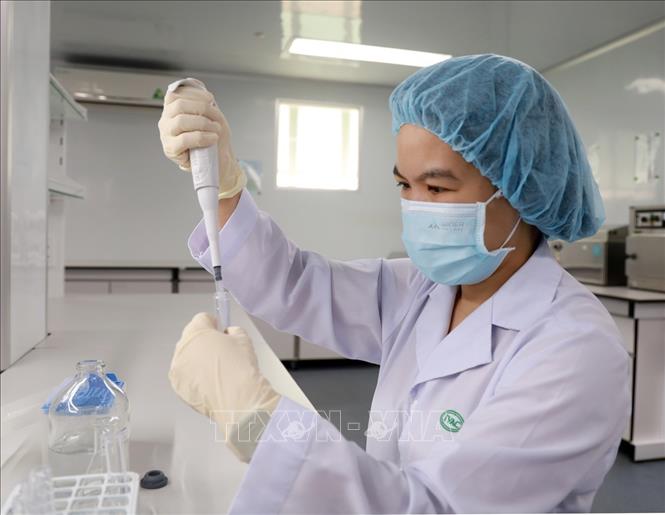 Nghiên cứu viên tại Viện Vắc xin và Sinh phẩm Y tế - Bộ Y tế (trụ sở tại tỉnh Khánh Hòa) nghiên cứu, kiểm định vaccine. Ảnh: Xuân Triệu - TTXVN