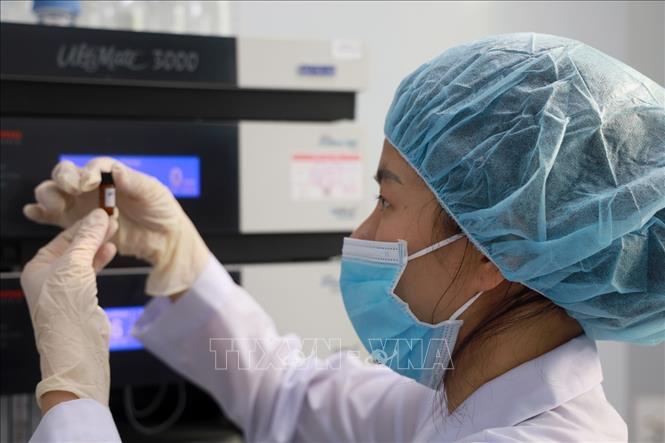 Nghiên cứu viên tại Viện Vắc xin và Sinh phẩm Y tế - Bộ Y tế (trụ sở tại tỉnh Khánh Hòa) nghiên cứu, kiểm định vaccine. Ảnh: Xuân Triệu - TTXVN