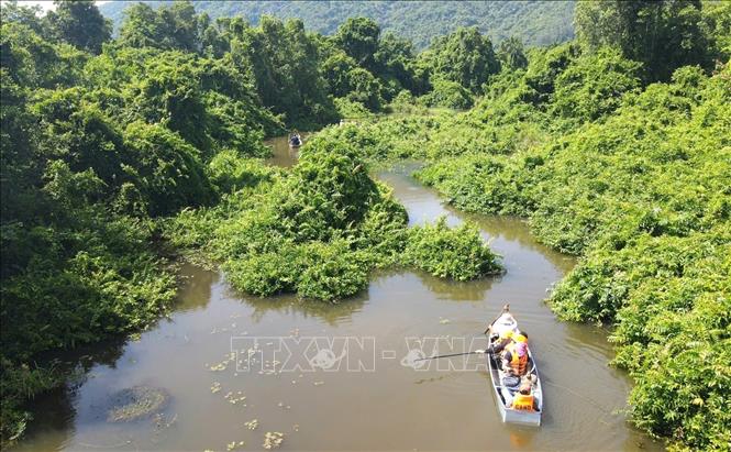 Bau Da Wetland Forest in Hoa Thinh Commune, located within Phu Yen Geopark, boasts a diverse natural ecosystem. VNA Photo: Tường Quân 