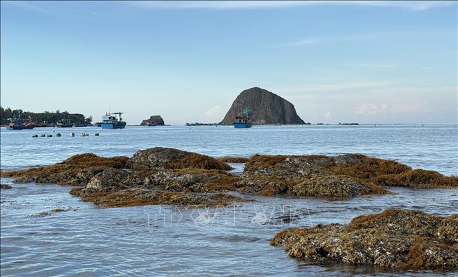 Remnants of volcanic eruptions from millions of years ago are still present at Hon Yen island in O Loan commune. VNA Photo: Tường Quân 
