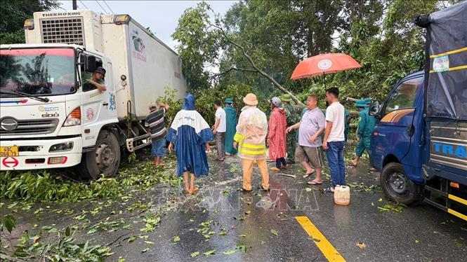 Lực lượng chức năng phối hợp xử lý cây xanh ngã đổ trên tuyến quốc lộ 20 đoạn qua địa bàn xã Đạ Huoai, tỉnh Lâm Đồng trong chiều 20/8. Ảnh: TTXVN phát