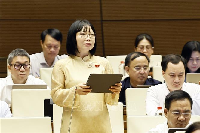 Đại biểu Quốc hội thành phố Hải Phòng Nguyễn Thị Việt Nga phát biểu. Ảnh: Doãn Tấn - TTXVN
