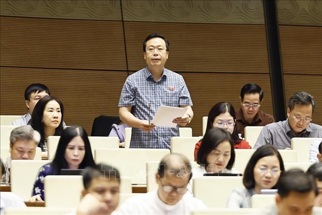 Đại biểu Quốc hội tỉnh Hưng Yên Nguyễn Đại Thắng phát biểu. Ảnh: Doãn Tấn - TTXVN