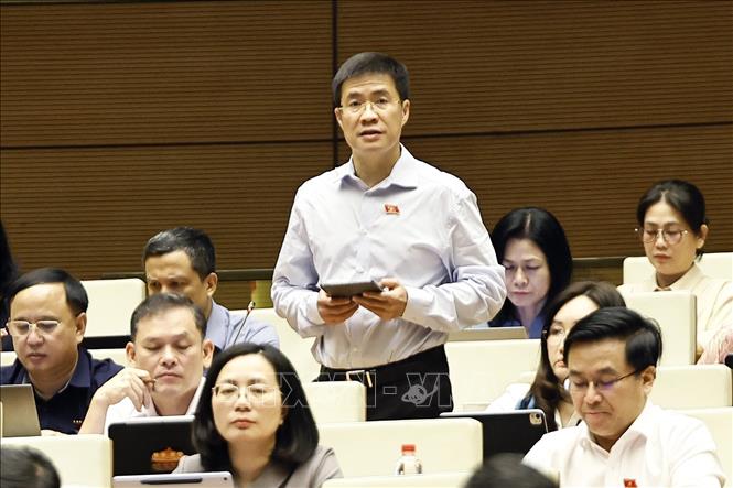 Đại biểu Quốc hội tỉnh Nghệ An Hoàng Minh Hiếu phát biểu. Ảnh: Doãn Tấn - TTXVN