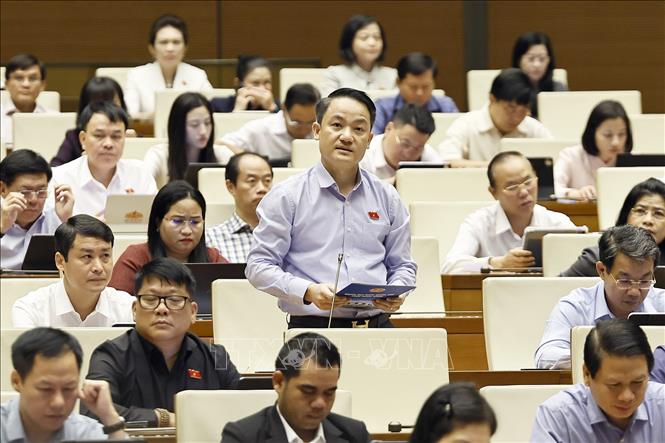 Đại biểu Quốc hội tỉnh Ninh Bình Lê Văn Thế phát biểu. Ảnh: Doãn Tấn - TTXVN