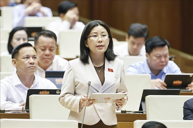 Đại biểu Quốc hội tỉnh Đắk Lắk Lê Đào An Xuân phát biểu. Ảnh: Doãn Tấn - TTXVN