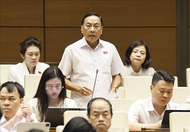 Đại biểu Quốc hội tỉnh Đồng Tháp Phạm Văn Hoà phát biểu. Ảnh: Doãn Tấn - TTXVN