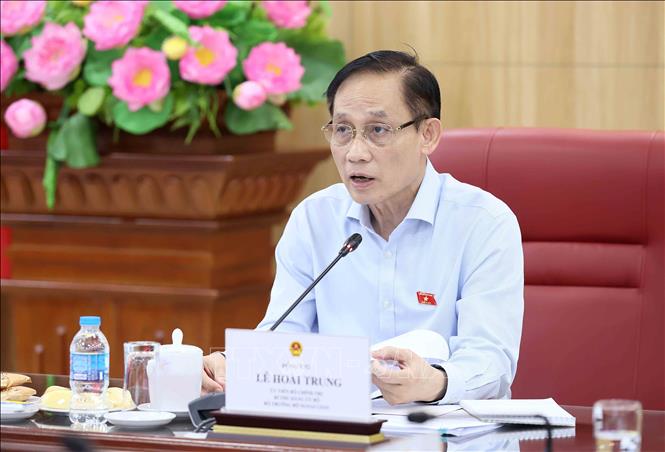 Đồng chí Lê Hoài Trung, Uỷ viên Bộ Chính trị, Bộ trưởng Bộ Ngoại giao phát biểu. Ảnh: An Đăng - TTXVN