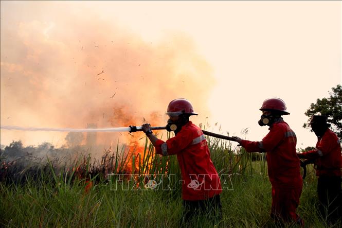 Lính cứu hoả nỗ lực dập lửa cháy rừng tại Ogan Ilir, tỉnh Nam Sumatra, Indonesia. Ảnh: THX/TTXVN phát