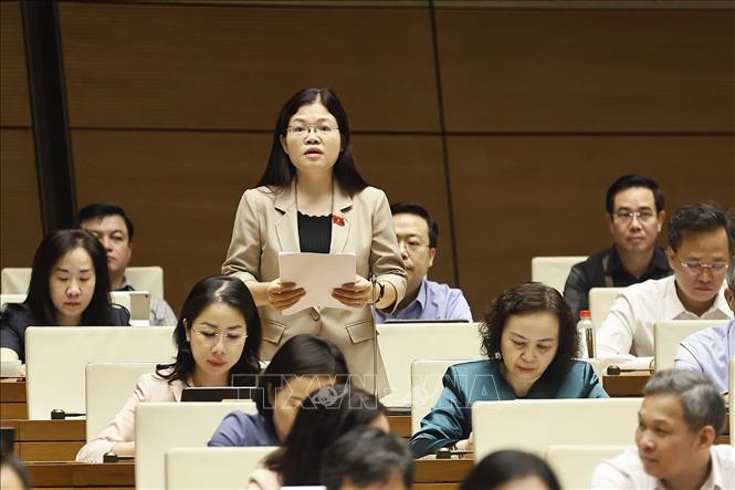 Đại biểu Quốc hội tỉnh Thanh Hóa Lương Thị Hoa phát biểu. Ảnh: Doãn Tấn - TTXVN