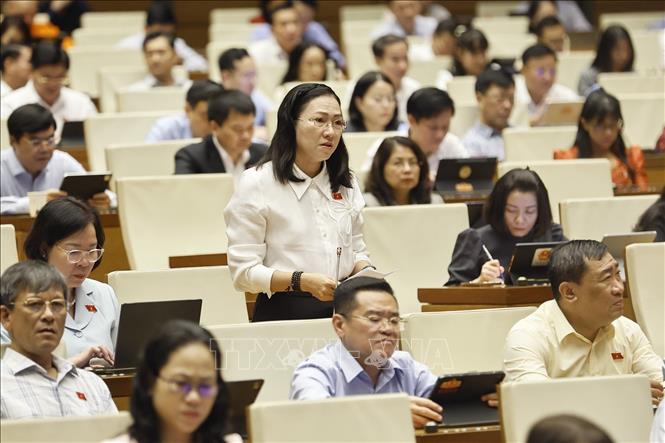 Đại biểu Quốc hội tỉnh Vĩnh Long Nguyễn Thị Yến Nhi phát biểu. Ảnh: Doãn Tấn - TTXVN