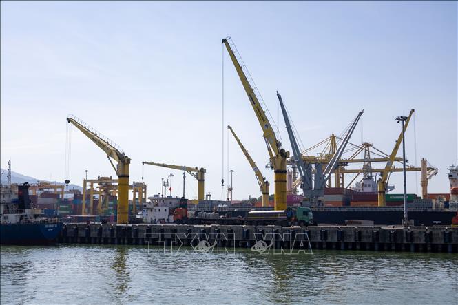 Cargo loading and unloading operations at Tien Sa Port—Da Nang's existing maritime gateway—demonstrate that the flow of goods is being maintained through the city's port system. VNA Photo: Xuân Quý