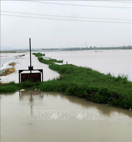Nước lên nhanh gây ảnh hưởng đến sản xuất nông nghiệp tại một số địa phương. Ảnh: Đồng Thúy- TTXVN