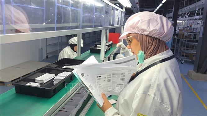 Đa số nhân viên nhà máy là người địa phương của Algeria. Ảnh: Nguyễn An - PV TTXVN tại Algeria