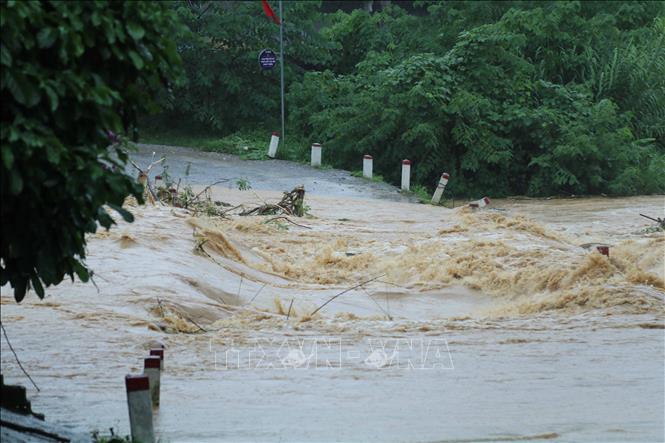 Nước lũ cuốn cây cối qua ngầm tràn khu vực xã Nhân Lý, tỉnh Lạng Sơn. Ảnh: Quang Duy – TTXVN