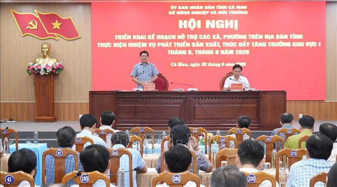 Phó Chủ tịch UBND tỉnh Cà Mau Lê Văn Sử phát biểu tại hội nghị. Ảnh: Tuấn Kiệt – TTXVN