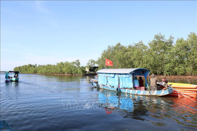 Những năm gần đây, Ngư Mỹ Thạnh được biết đến nhiều hơn với vai trò là điểm du lịch cộng đồng, sinh thái gắn với hệ thống rừng ngập mặn trên Phá Tam Giang. Ảnh: Mai Trang - TTXVN