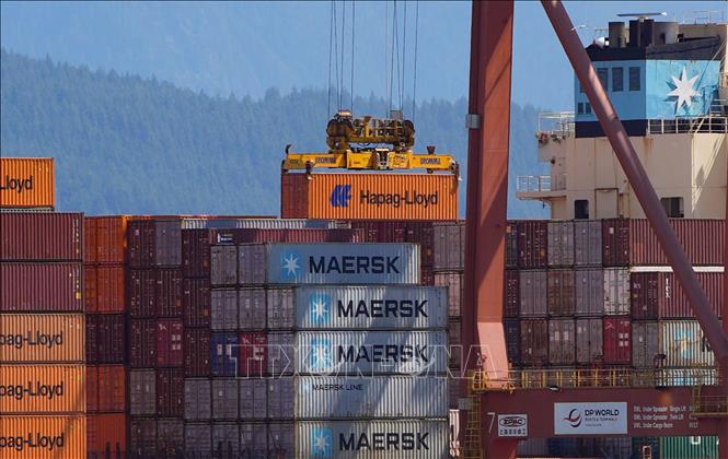 Cần cẩu giàn nâng container hàng hóa tại khu vực cảng Centerm ở Vancouver, Canada ngày 6/6/2025. Ảnh: THX/TTXVN phát