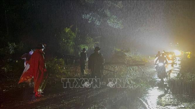 Bộ đội Biên phòng cửa khẩu Chi Ma, tỉnh Lạng Sơn xử lý, khắc phục cây đổ gây ách tắc giao thông vào cửa khẩu. Ảnh: TTXVN phát
