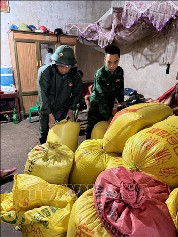 Bộ đội Biên phòng tỉnh Lạng Sơn giúp nhân dân vận chuyển nông sản tới khu an toàn. Ảnh: TTXVN phát
