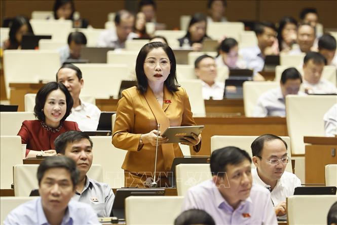 Đại biểu Quốc hội tỉnh Đắk Lắk Nguyễn Thị Thu Nguyệt phát biểu. Ảnh: Doãn Tấn - TTXVN