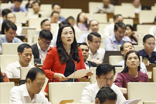 Đại biểu Quốc hội tỉnh Thái Nguyên Nguyễn Thị Thủy phát biểu. Ảnh: Doãn Tấn - TTXVN