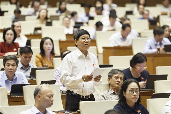 Đại biểu Quốc hội tỉnh Vĩnh Long Vũ Hùng Vương phát biểu. Ảnh: Doãn Tấn - TTXVN