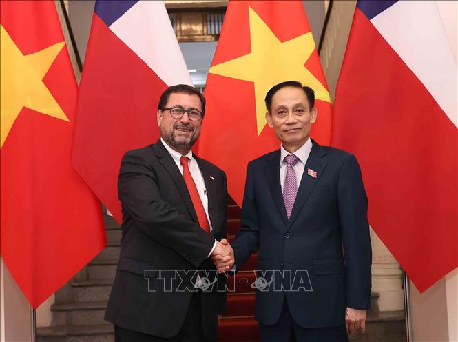 Bộ trưởng Ngoại giao Lê Hoài Trung với Bộ trưởng Ngoại giao Cộng hòa Chile Francisco Pérez Mackenna. Ảnh: An Đăng - TTXVN