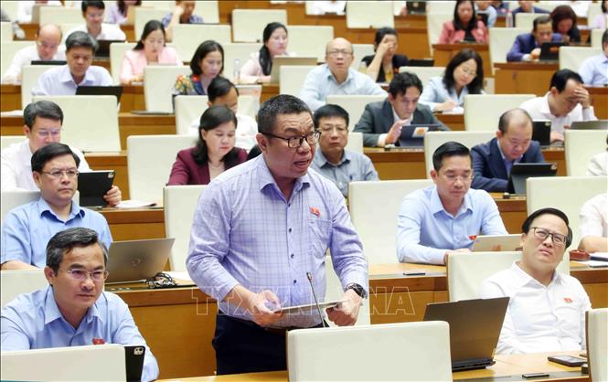 Đại biểu Quốc hội thành phố Đà Nẵng Trần Mạnh Huy phát biểu. Ảnh: Phạm Kiên - TTXVN