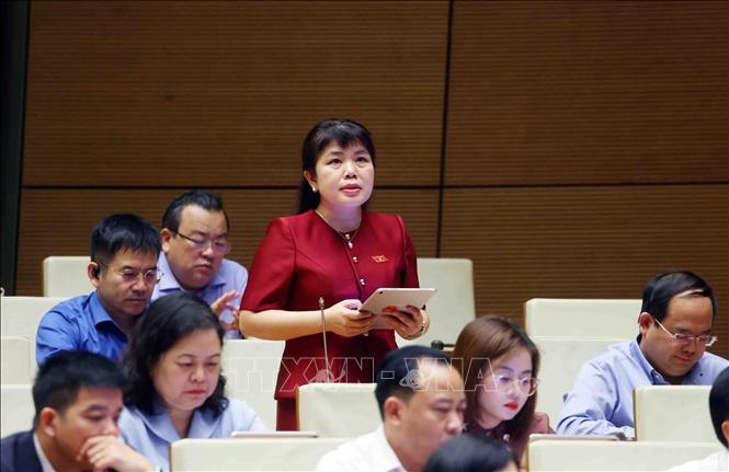 Đại biểu Quốc hội tỉnh Quảng Ninh Nguyễn Thị Thu Hà phát biểu. Ảnh: Phạm Kiên - TTXVN