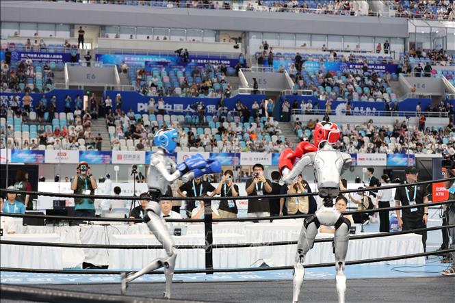 Các Robot thi đấu ở nội dung đấm bốc. Ảnh: Công Tuyên-PV TTXVN tại Trung Quốc