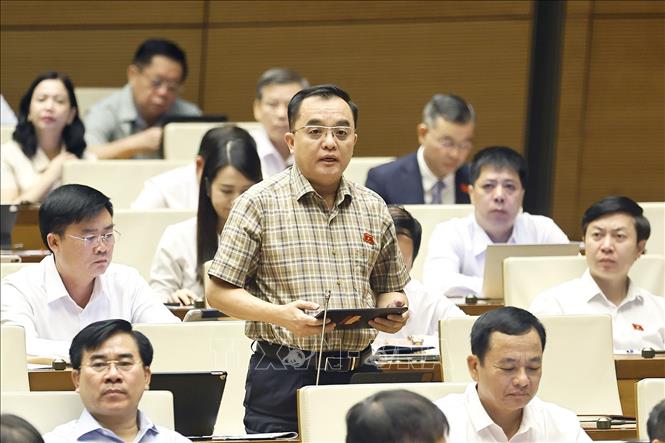 Đại biểu Quốc hội tỉnh Lâm Đồng Huỳnh Ngọc Liêm phát biểu. Ảnh: Doãn Tấn - TTXVN