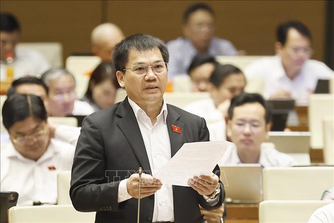 Đại biểu Quốc hội tỉnh Lâm Đồng Dương Khắc Mai phát biểu. Ảnh: Doãn Tấn - TTXVN