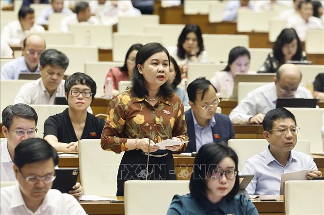 Đại biểu Quốc hội thành phố Hà Nội Nguyễn Phương Thủy phát biểu. Ảnh: Doãn Tấn - TTXVN