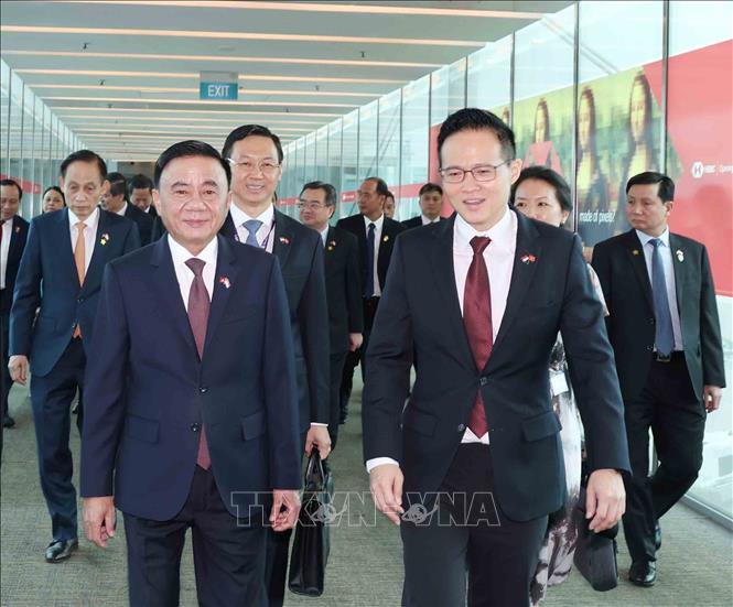 Quốc Vụ khanh Bộ Quốc phòng Singapore Desmond Choo đón đồng chí Trần Cẩm Tú, Ủy viên Bộ Chính trị, Thường trực Ban Bí thư tại sân bay quốc tế Changi. Ảnh: Phương Hoa - TTXVN
