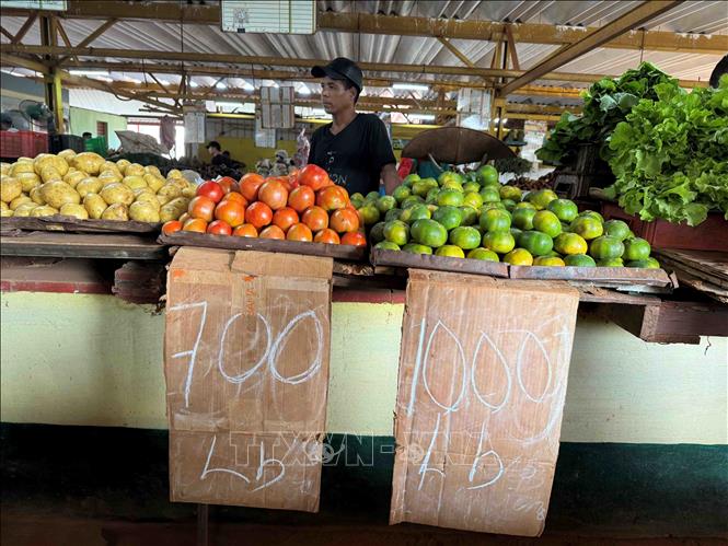 Quầy nông sản tại chợ 19B ở thủ đô La Habana. Ảnh: Việt Hùng-P/V TTXVN tại Cuba 