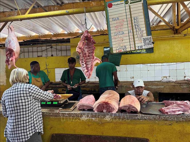 Quầy thịt lợn duy nhất tại chợ nông sản 19B ở thủ đô La Habana. Ảnh: Việt Hùng-P/V TTXVN tại Cuba
