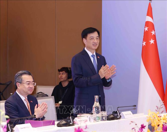 Đồng chí Nguyễn Duy Ngọc, Uỷ viên Bộ Chính trị, Bí thư Trung ương Đảng, Trưởng Ban Tổ chức Trung ương dự Đối thoại Chiến lược Việt Nam - Singapore lần thứ nhất. Ảnh: Phương Hoa - TTXVN