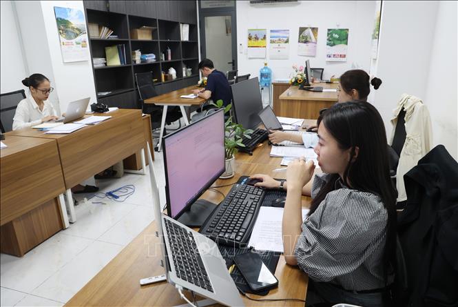 Nhân viên tư vấn pháp luật xử lý hồ sơ trên máy tính, ứng dụng AI - trí tuệ nhân tạo trong công việc chuyên môn. Ảnh: Hồng Đạt - TTXVN