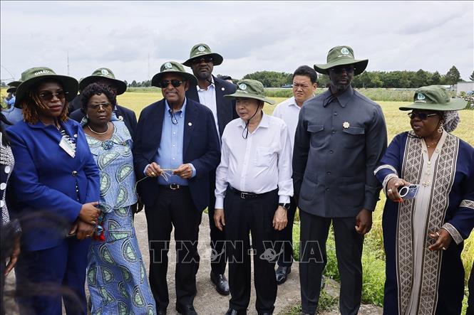 Chủ tịch Quốc hội Trần Thanh Mẫn và Chủ tịch Quốc hội Cộng hòa Côte d’Ivoire Patrick Achi thăm cánh đồng trình diễn giống lúa triển vọng vụ Hè - Thu 2026. Ảnh: Doãn Tấn – TTXVN