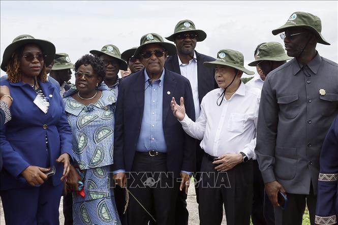 Chủ tịch Quốc hội Trần Thanh Mẫn và Chủ tịch Quốc hội Cộng hòa Côte d’Ivoire Patrick Achi thăm cánh đồng trình diễn giống lúa triển vọng vụ Hè - Thu 2026. Ảnh: Doãn Tấn – TTXVN