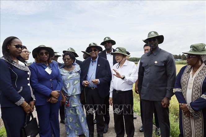 Chủ tịch Quốc hội Trần Thanh Mẫn và Chủ tịch Quốc hội Cộng hòa Côte d’Ivoire Patrick Achi thăm cánh đồng trình diễn giống lúa triển vọng vụ Hè - Thu 2026. Ảnh: Doãn Tấn – TTXVN