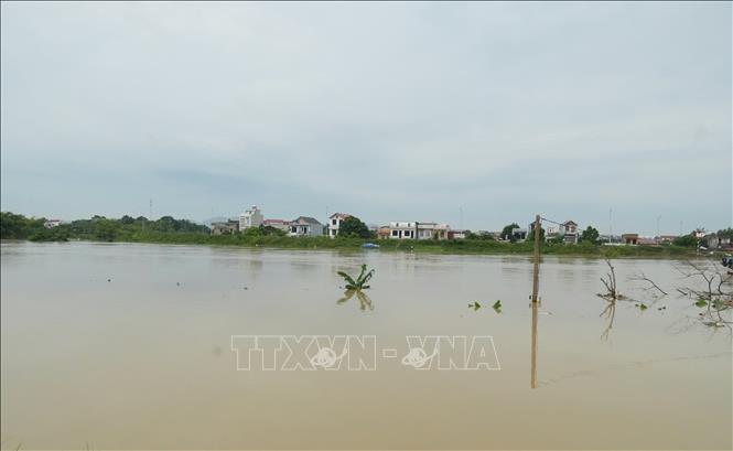 Mực nước trên nhiều sông ở Bắc Ninh dâng cao, vượt báo động III. Ảnh: Đồng Thúy - TTXVN