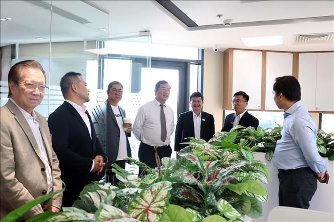 Các đại biểu tham quan văn phòng HCM VIF tại 123 Trương Định, phường Xuân Hòa, TP. Hồ Chí Minh. Ảnh: Tiến Lực - TTXVN